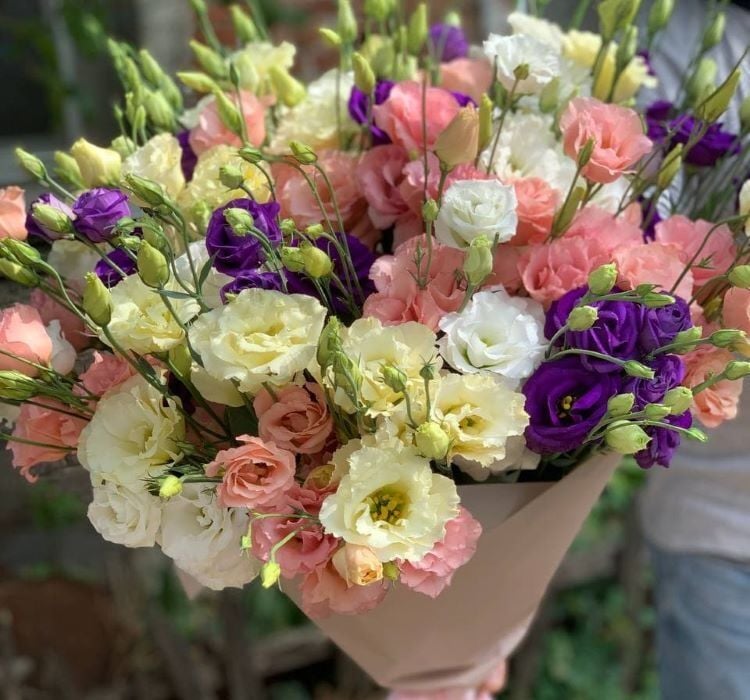 Lisianthus ( Lale Gül ) Advantage Serisi - KARIŞIK ( 5 Tohum )