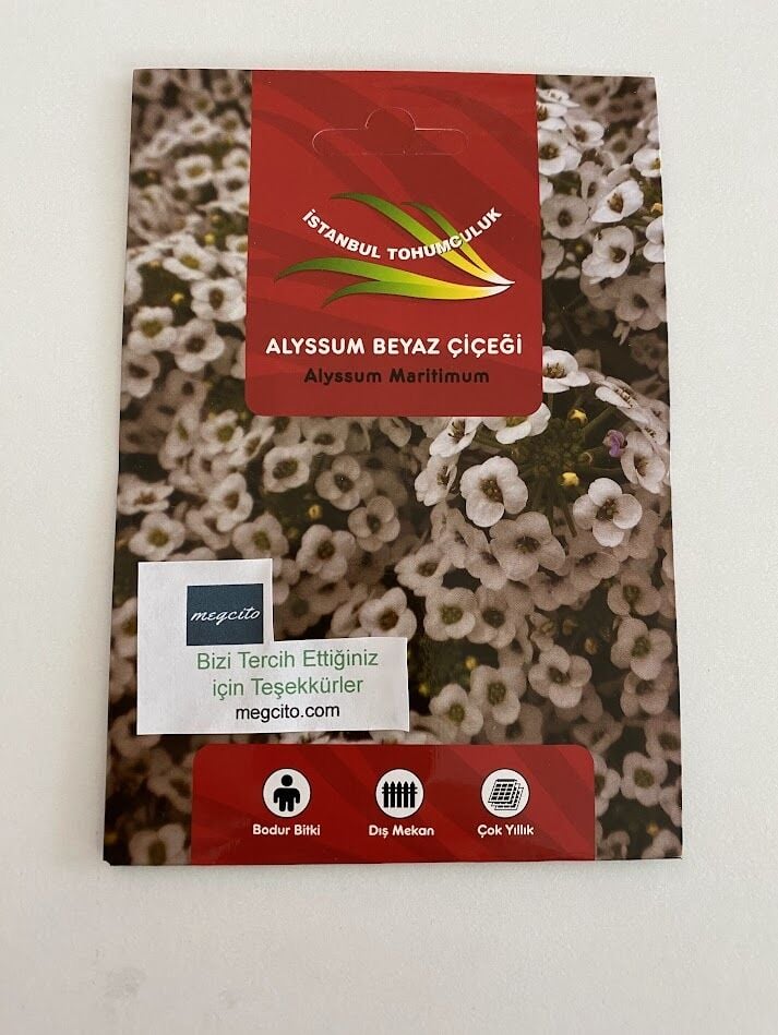 ALYSSUM ( ÇOKLU TOHUM ) - 250 Tohum - BEYAZ Renk