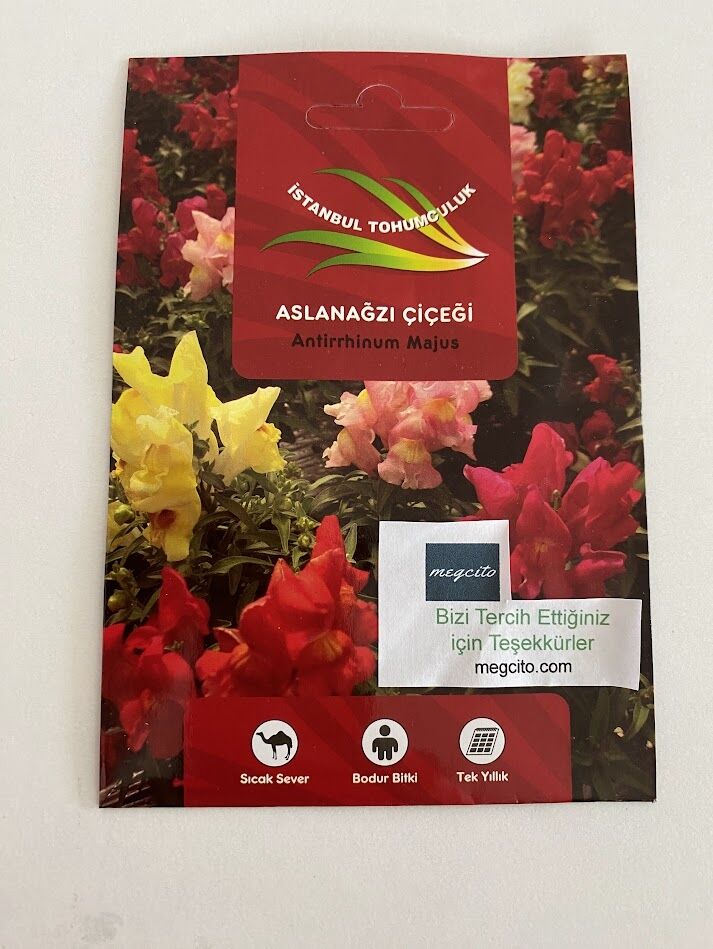 ASLANAGZI ( ÇOKLU TOHUM ) - 250 Tohum - KARIŞIK Renk