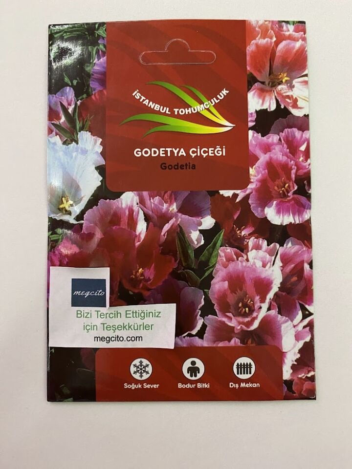 GODETYA ( ÇOKLU TOHUM ) - 300 Tohum - KARIŞIK Renk