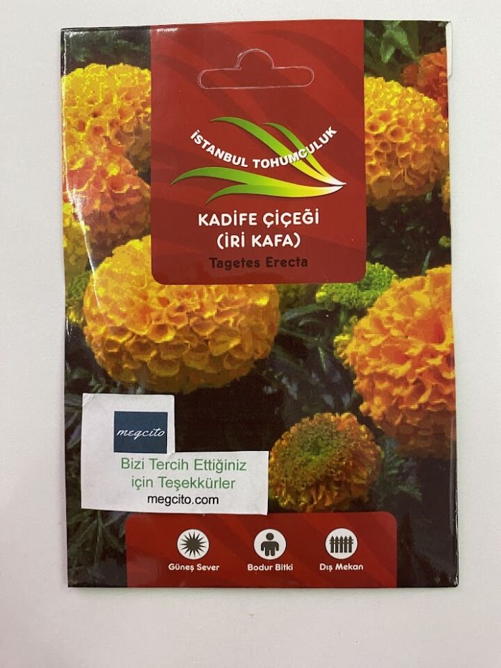 KADİFE İRİ KAFA ( ÇOKLU TOHUM ) - 75 Tohum - KARIŞIK Renk