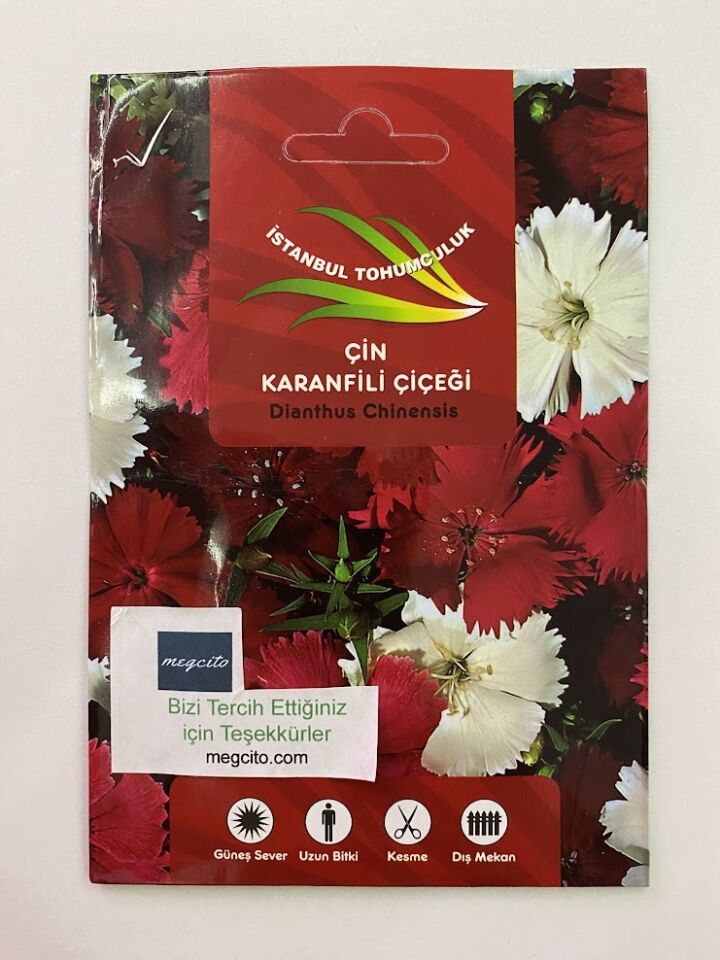 ÇİN KARANFİLİ ( ÇOKLU TOHUM ) - 100 Tohum - KARIŞIK Renk