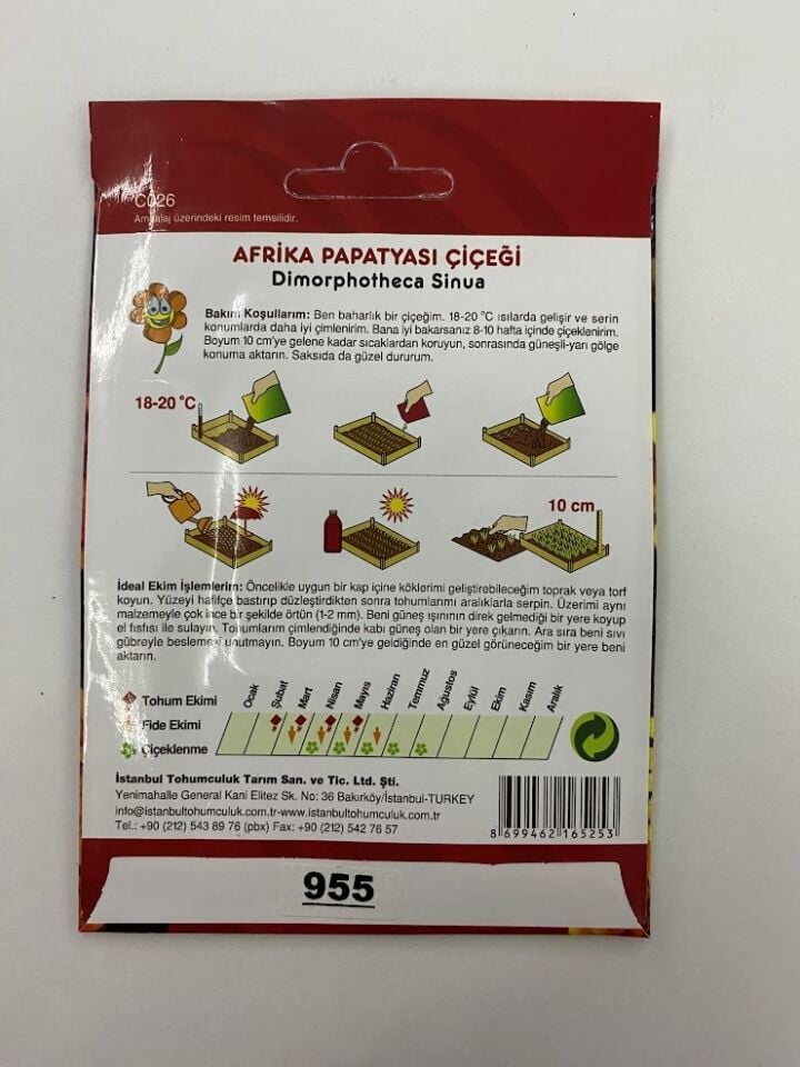 AFRİKA PAPATYASI ( ÇOKLU TOHUM ) - 250 Tohum - KARIŞIK Renk