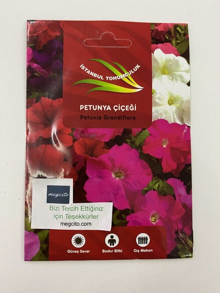 PETUNYA ( ÇOKLU TOHUM ) - 80 Tohum - KARIŞIK Renk