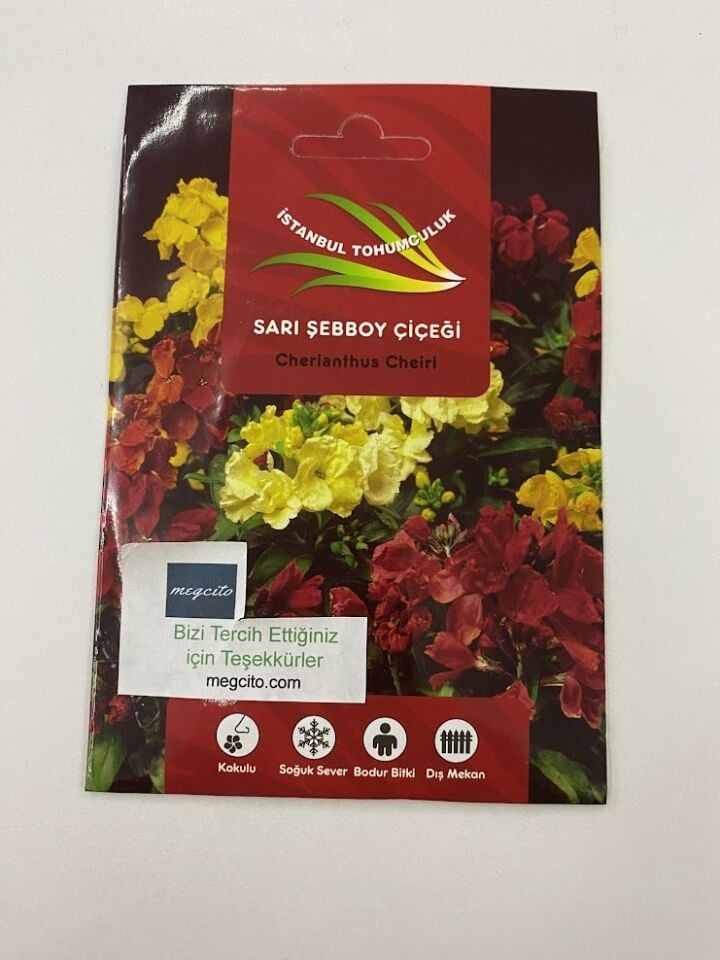 SARI ŞEBBOY ( ÇOKLU TOHUM ) - 250 Tohum - KARIŞIK Renk