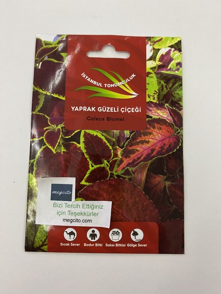 YAPRAK GÜZELİ ( ÇOKLU TOHUM ) - 150 Tohum - KARIŞIK Renk