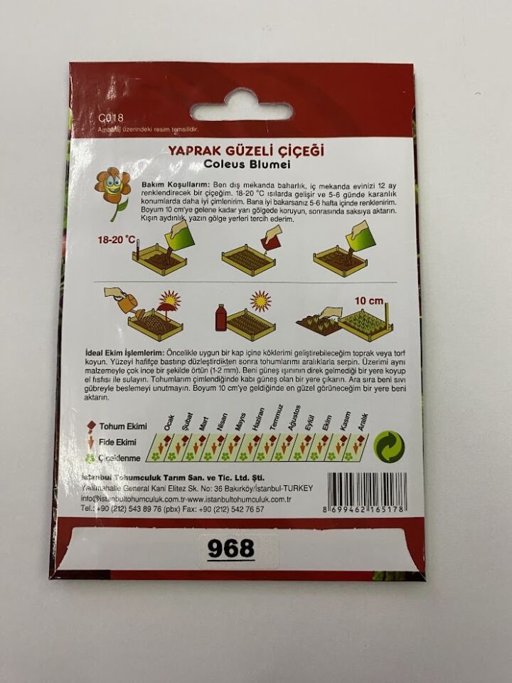 YAPRAK GÜZELİ ( ÇOKLU TOHUM ) - 150 Tohum - KARIŞIK Renk