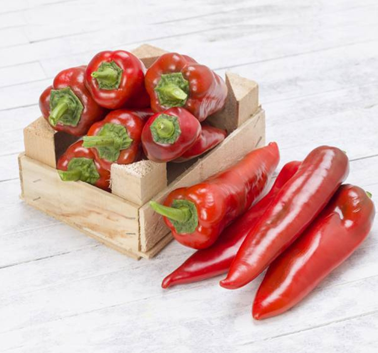 BİBER YAĞLIK SALÇALIK ( ÇOKLU TOHUM ) - 5 Gram
