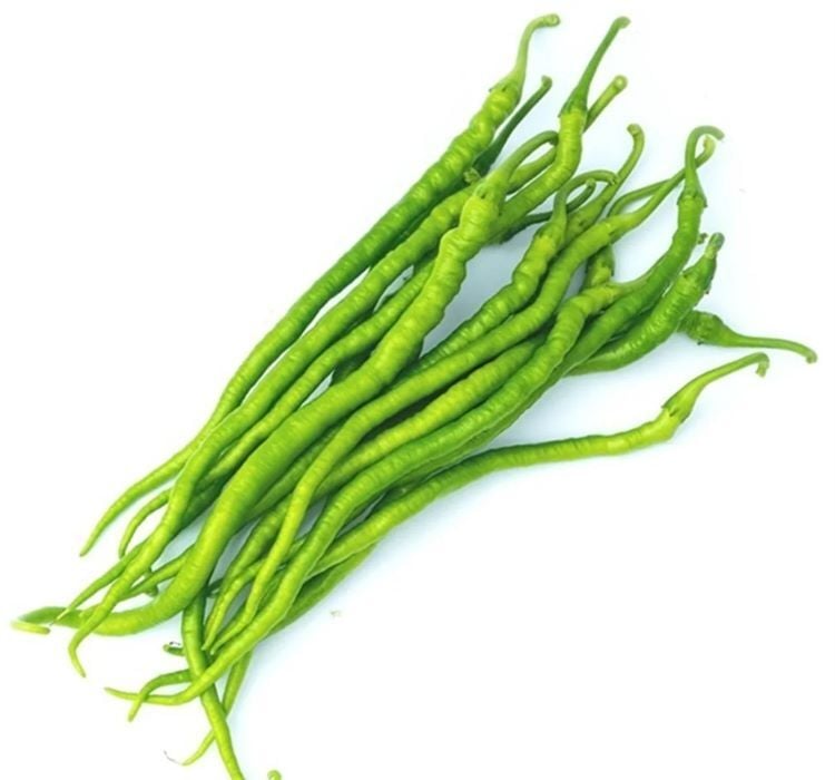 BİBER KIL TATLI ( ÇOKLU TOHUM ) - 5 Gram