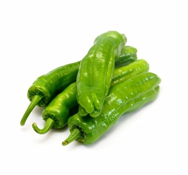 BİBER MAZAMORT ( ÇOKLU TOHUM ) - 5 Gram