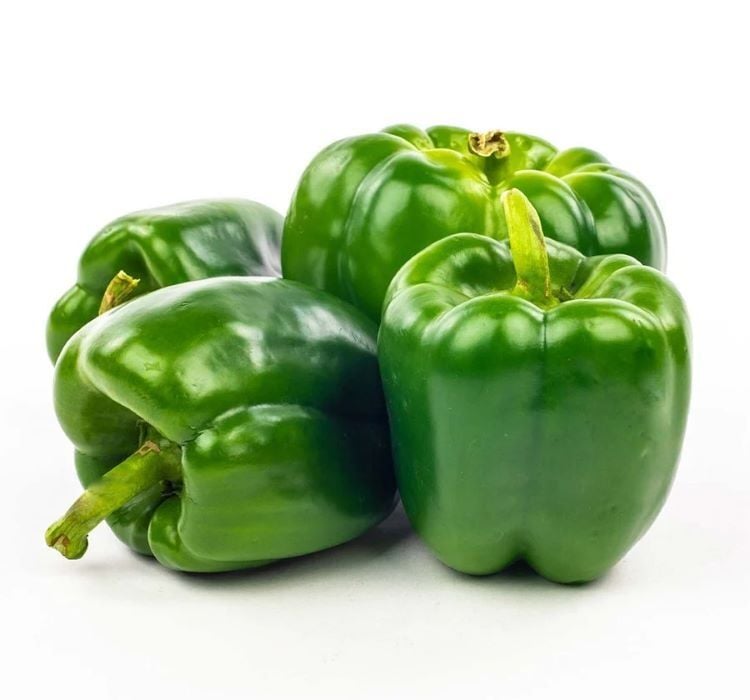 DOLMA BİBER KANDİL ( ÇOKLU TOHUM ) - 5 Gram