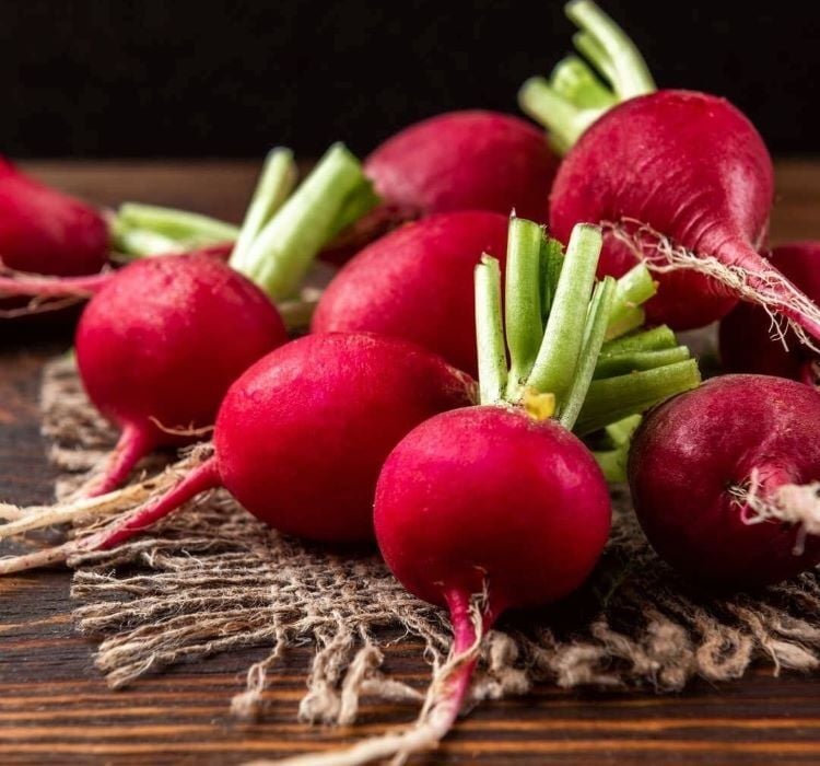 TURP İRİ KIRMIZI ( ÇOKLU TOHUM ) - 10 Gram