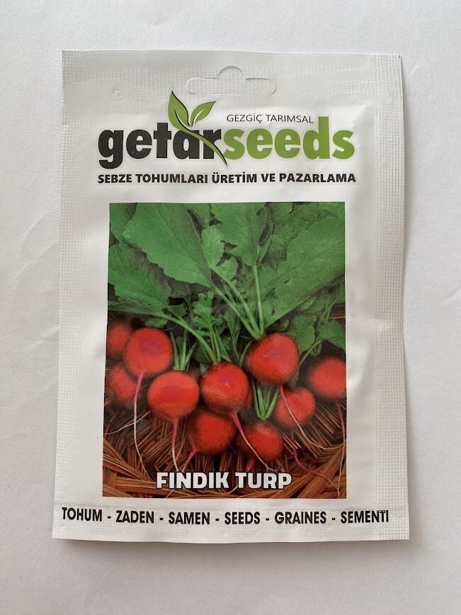 TURP FINDIK ( ÇOKLU TOHUM ) - 5 Gram
