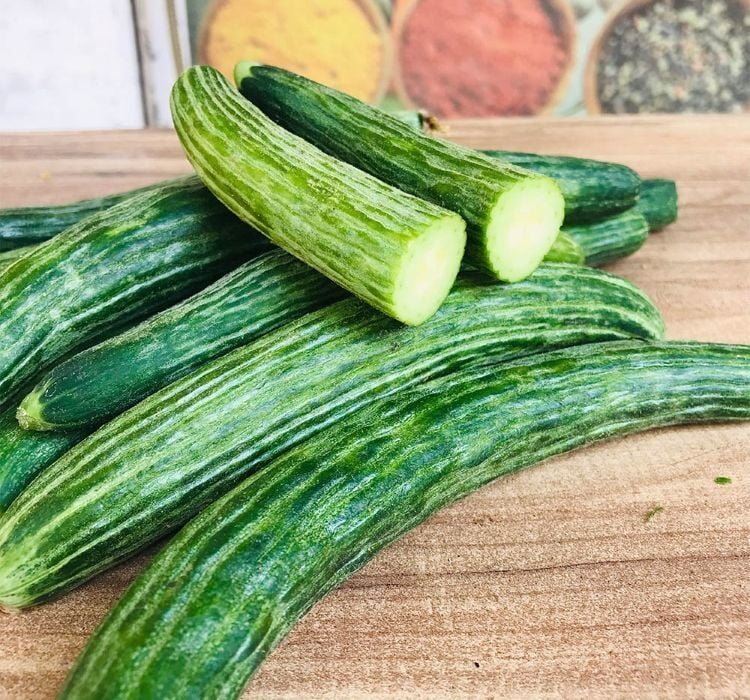 ACUR KARA ( ÇOKLU TOHUM ) - 5 Gram