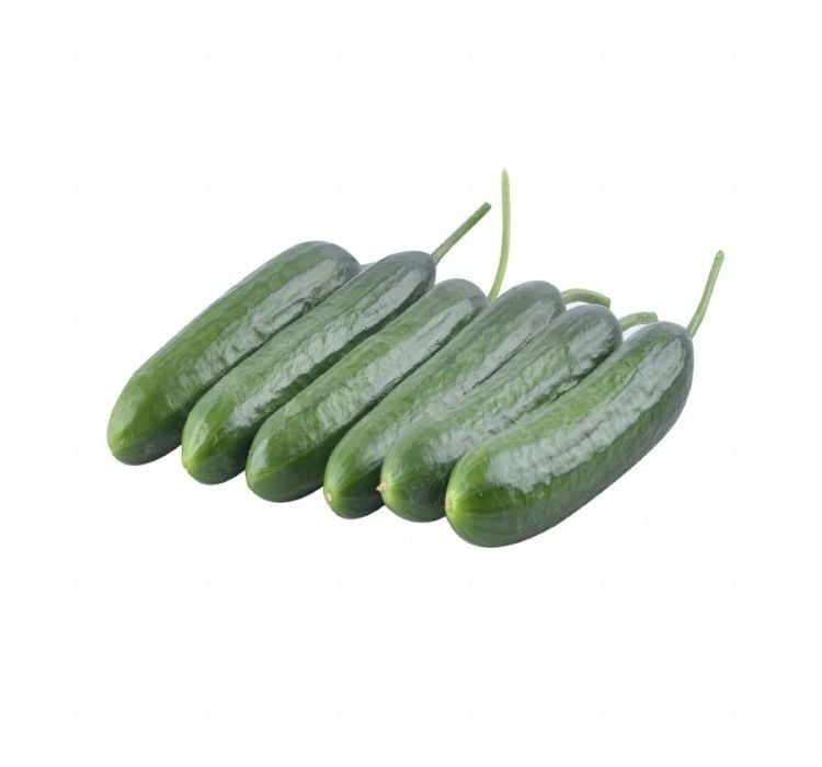 SALATALIK BEITH ALPHA ( ÇOKLU TOHUM ) - 5 Gram