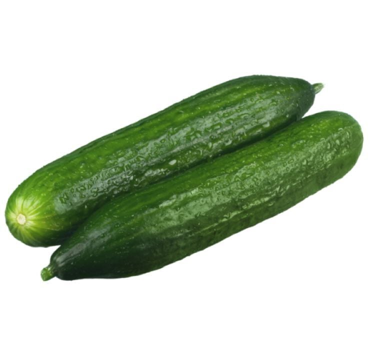 SALATALIK BEITH ALPHA İTHAL ( ÇOKLU TOHUM ) - 5 Gram