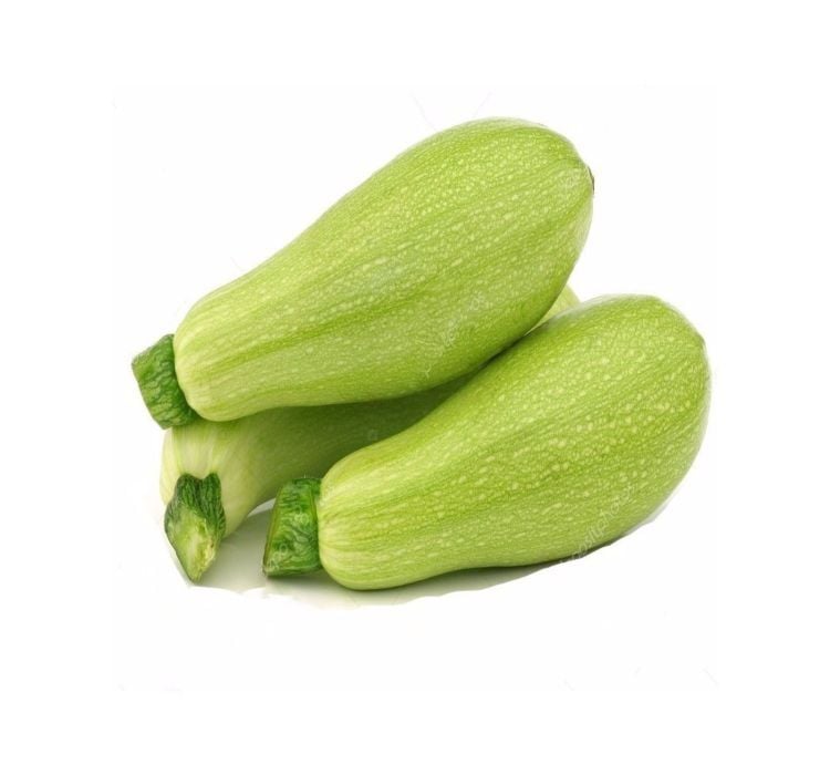 KABAK DOLMALIK ( ÇOKLU TOHUM ) - 10 Gram