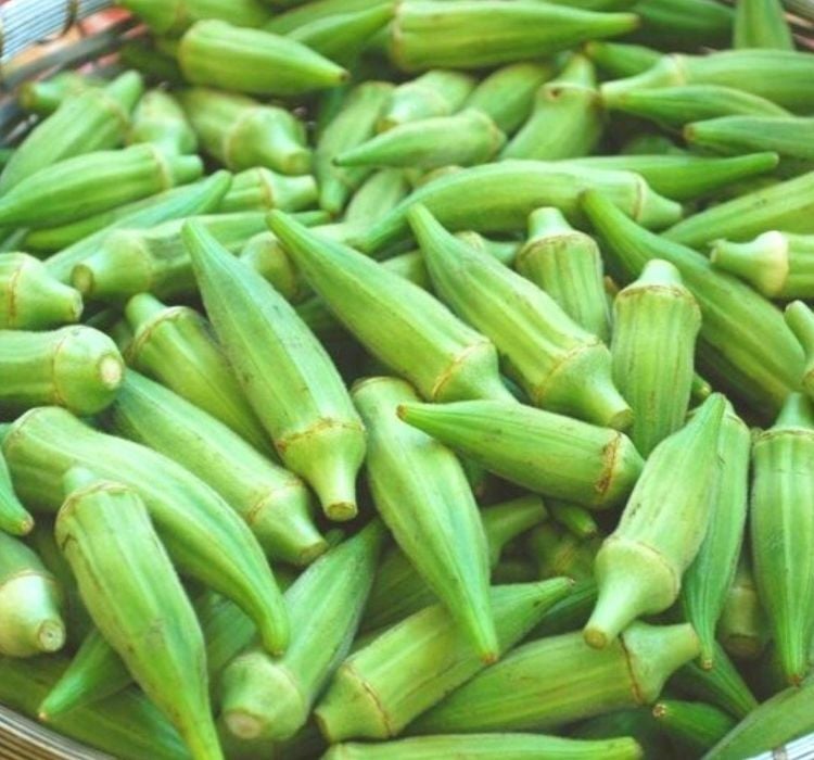BAMYA JAPON ( ÇOKLU TOHUM ) - 10 Gram