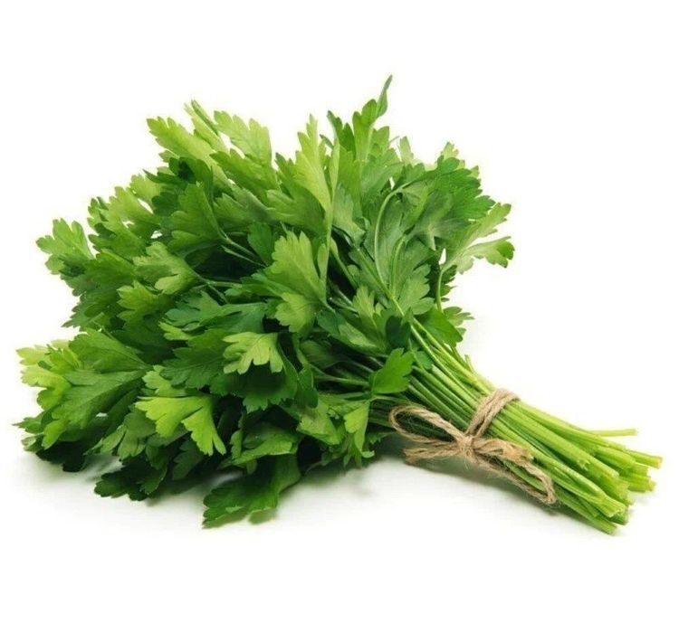 MAYDANOZ İRİ YAPRAK ( ÇOKLU TOHUM ) - 10 Gram