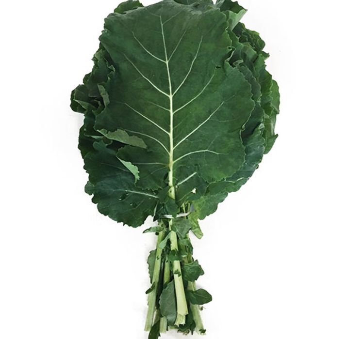 LAHANA KARADENİZ ( ÇOKLU TOHUM ) - 5 Gram