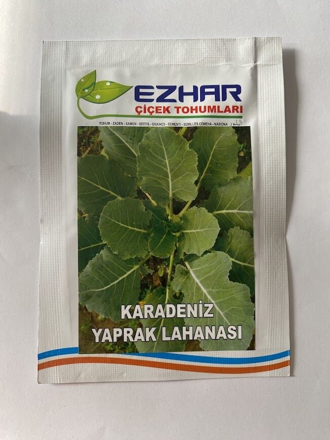 LAHANA KARADENİZ ( ÇOKLU TOHUM ) - 5 Gram