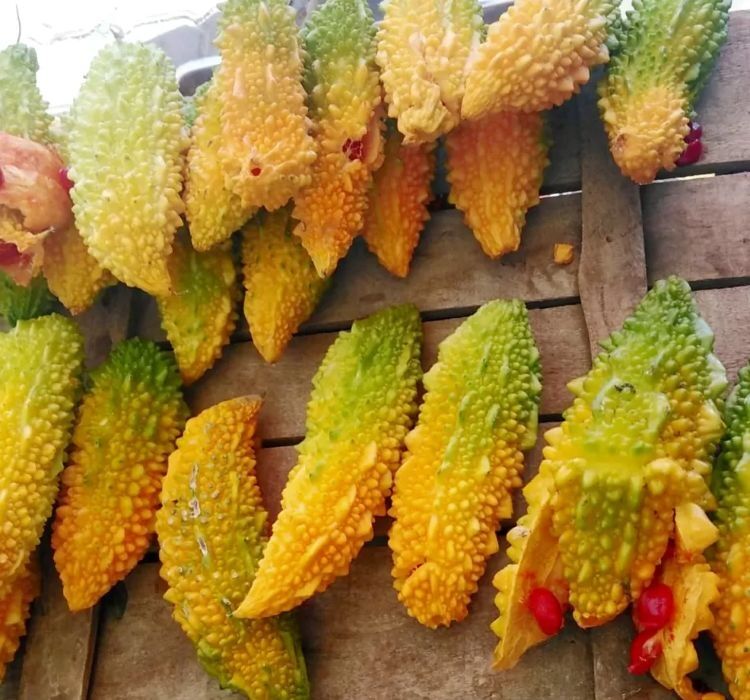 KUDRET NARI ( ÇOKLU TOHUM ) - 10 Adet